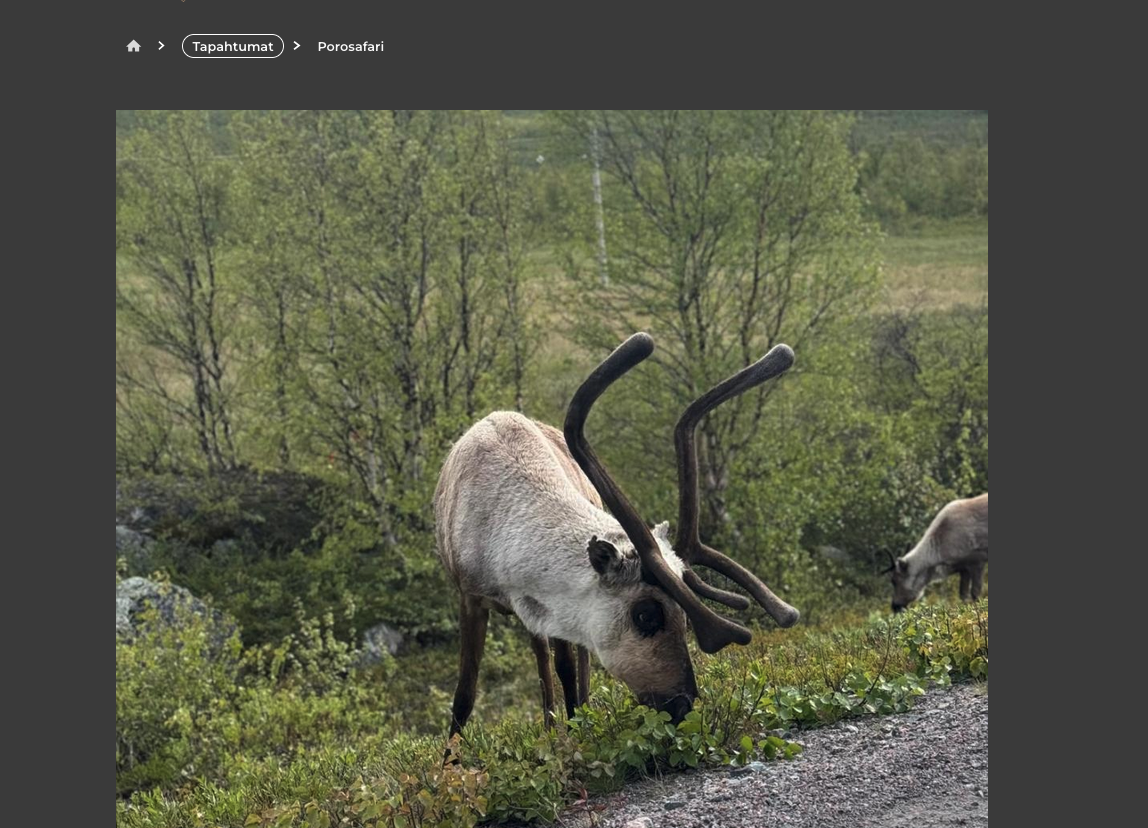 Tumman värivaihtoehdon esimerkkikuva